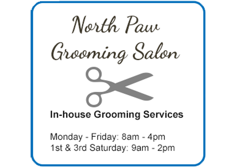Carousel Slide 5: Learn more about our grooming services