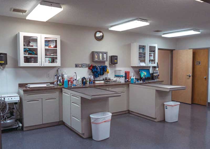 Carousel Slide 4: High-quality veterinary care